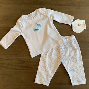 New Magnolia Baby Blue Grey Dinosaur 2 Pc Pant Set